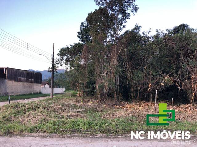 #TBG100 - Terreno para Venda em Caraguatatuba - SP - 2