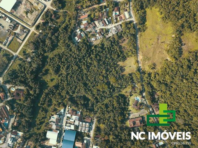 #TAB002 - Área para Venda em Ubatuba - SP - 2