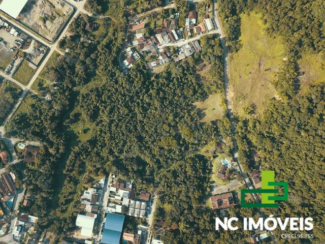 #TAB002 - Área para Venda em Ubatuba - SP - 3