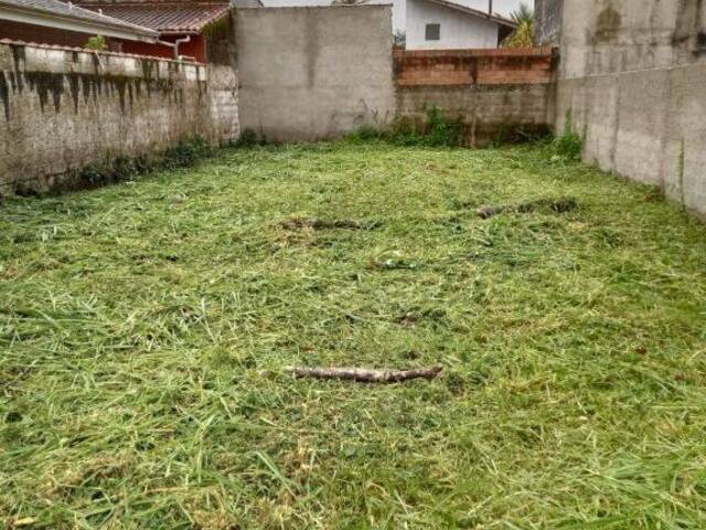 #531 - Terreno para Venda em Caraguatatuba - SP - 2